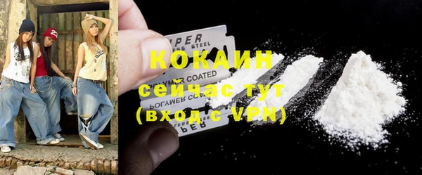 шишки Богородск