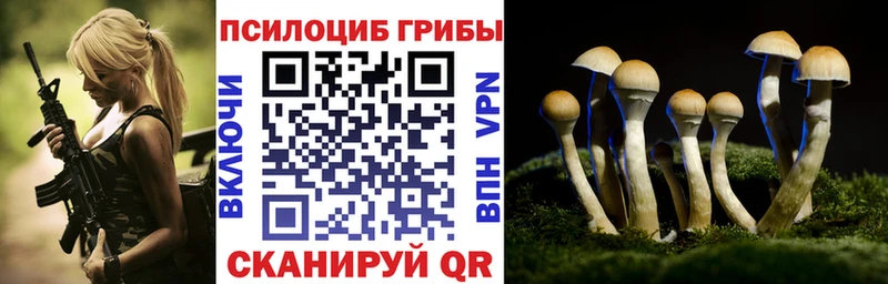 купить   Уссурийск  Галлюциногенные грибы Psilocybe 